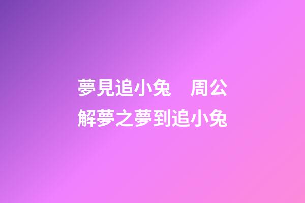 夢見追小兔　周公解夢之夢到追小兔